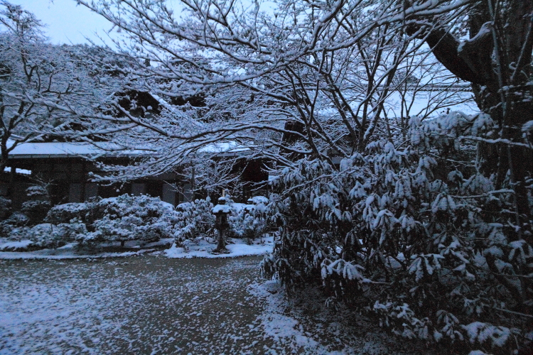e0051888_1513483.jpg