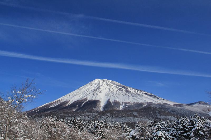 a0188405_052941.jpg