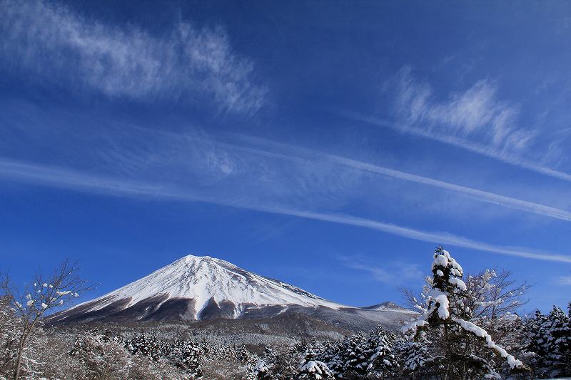 a0188405_054572.jpg