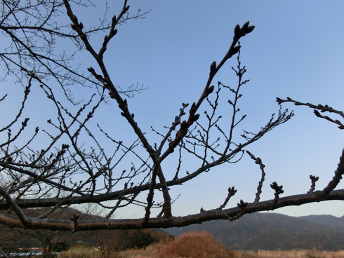 b0239909_2152348.jpg