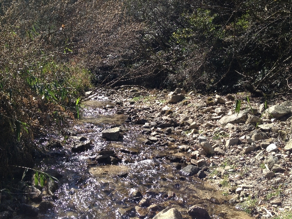 e0002314_223630.jpg