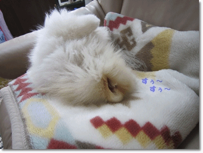 b0167519_2316578.gif