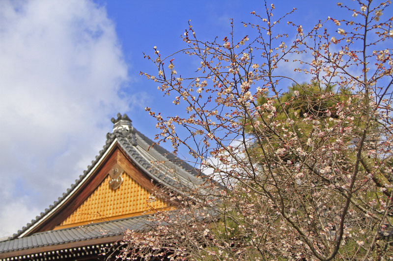 b0042837_563218.jpg