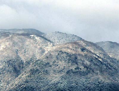 c0019338_11482143.jpg