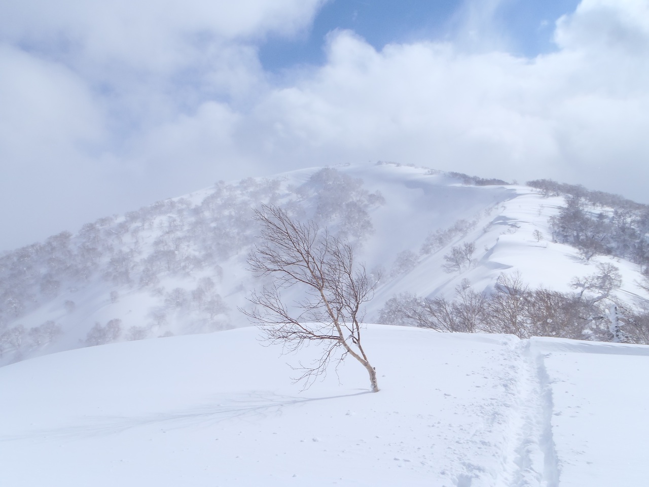 d0231339_189969.jpg
