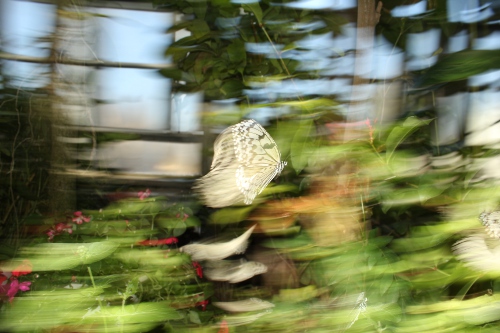 e0227942_0142751.jpg