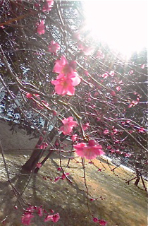 b0209944_0223288.jpg