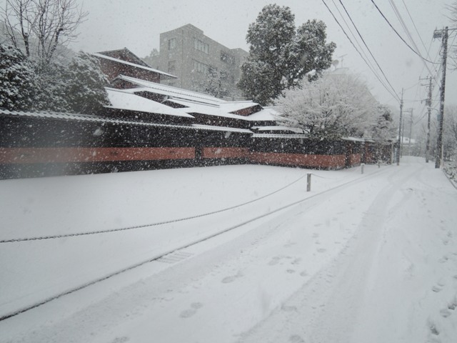 b0173754_437329.jpg