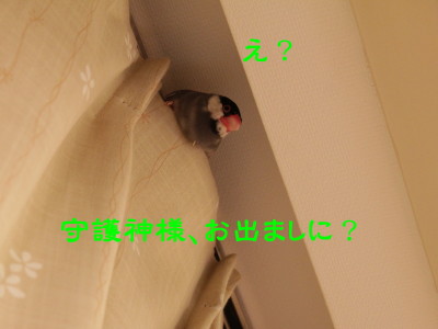 b0158061_21502490.jpg