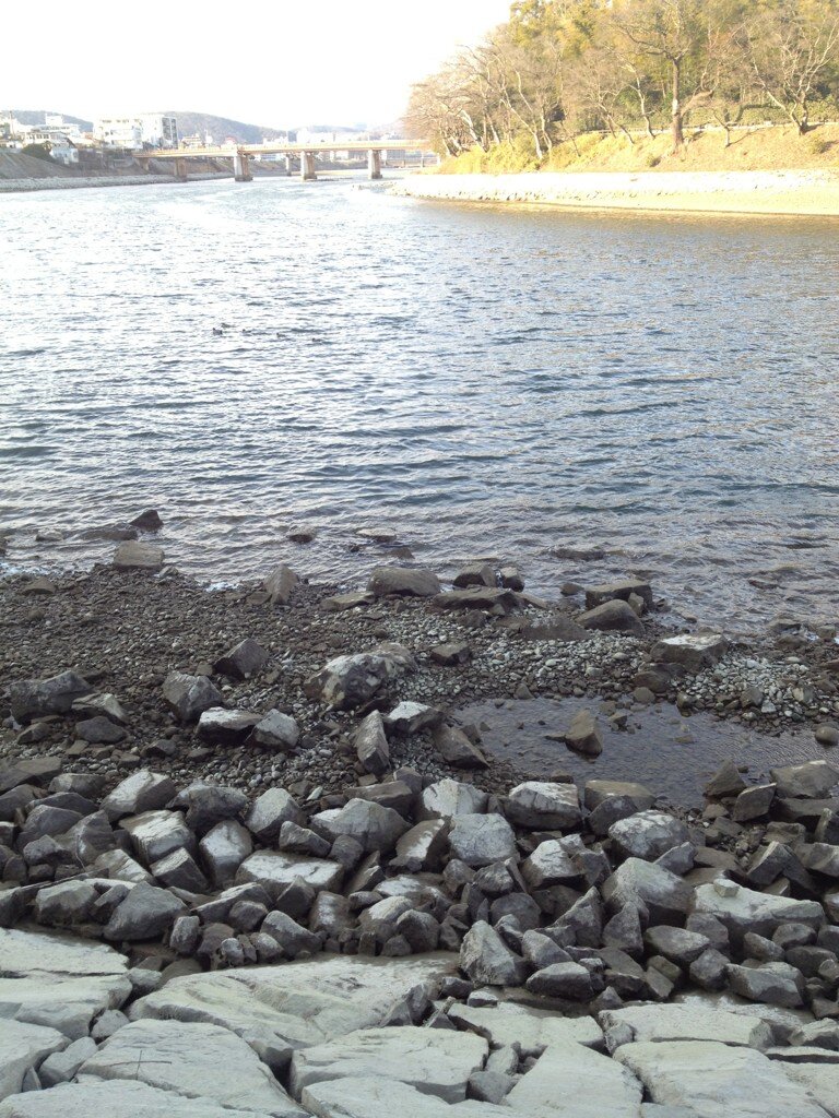 e0254765_20221412.jpg