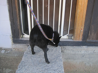 e0002466_20105297.jpg