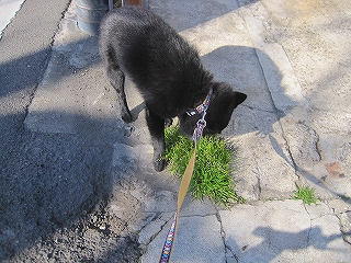 e0002466_20111919.jpg