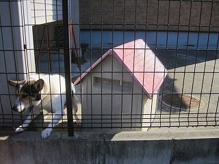 e0002466_20112919.jpg