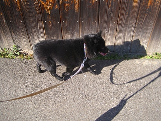 e0002466_20114094.jpg