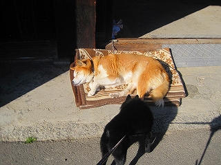 e0002466_20122128.jpg