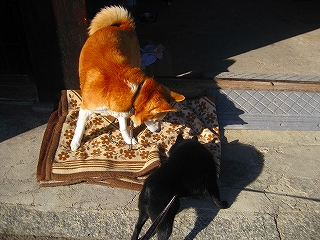 e0002466_20123163.jpg