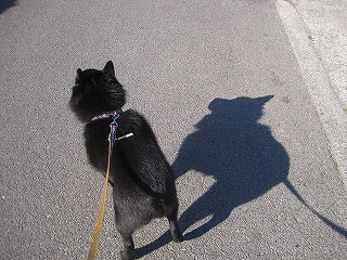 e0002466_20124033.jpg