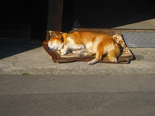 e0002466_2012621.jpg
