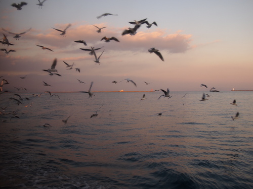 c0144868_212173.jpg