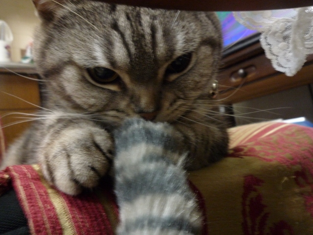 f0219773_17102782.jpg