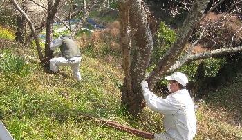 f0003283_5535570.jpg