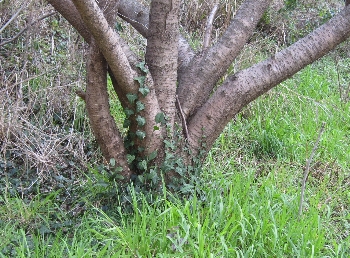 f0003283_5543820.jpg