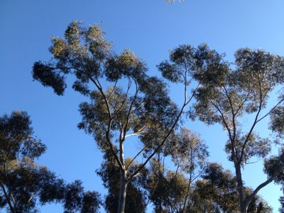 f0068883_19295014.jpg