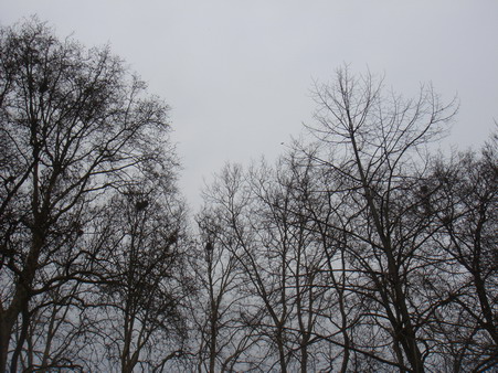 a0247585_5441651.jpg
