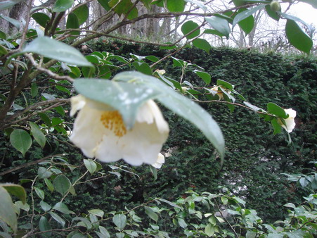 a0247585_5451079.jpg