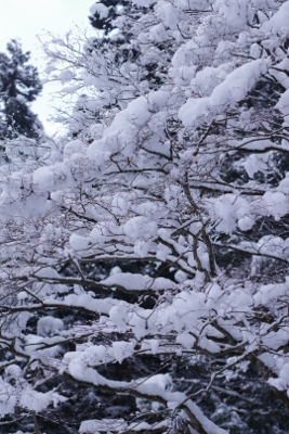b0226089_210015.jpg