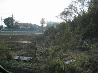 c0123890_21183276.jpg