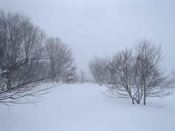 a0043193_1595138.jpg