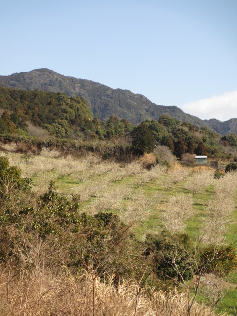a0193698_19162798.jpg