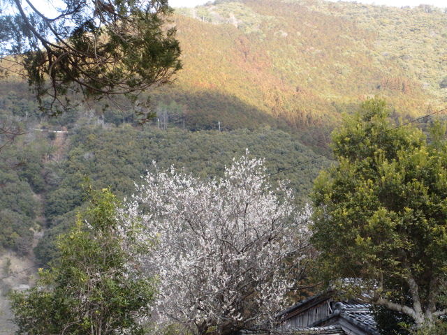a0193698_19203754.jpg