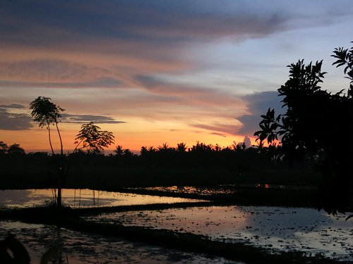 a0036499_22201297.jpg