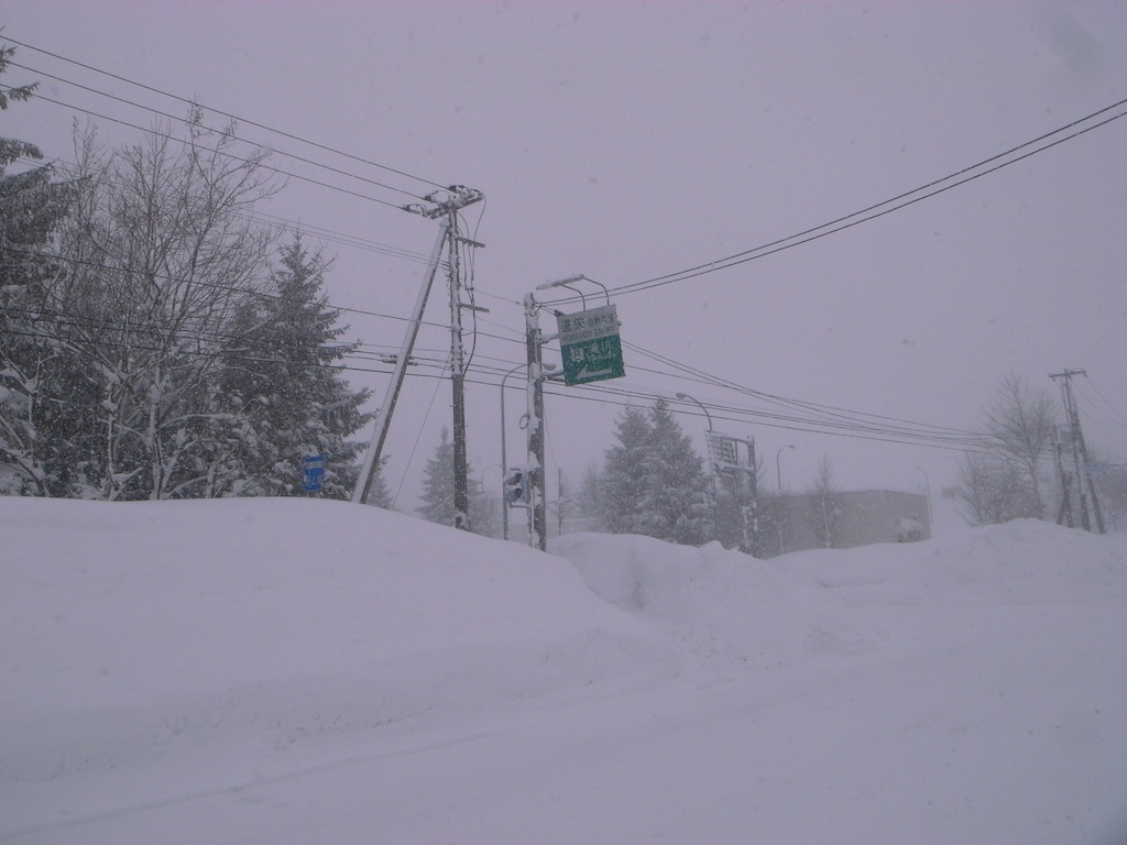 f0108399_10505810.jpg
