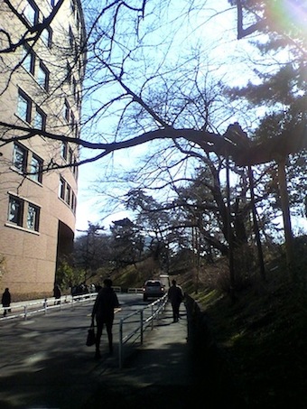 f0108399_9483282.jpg