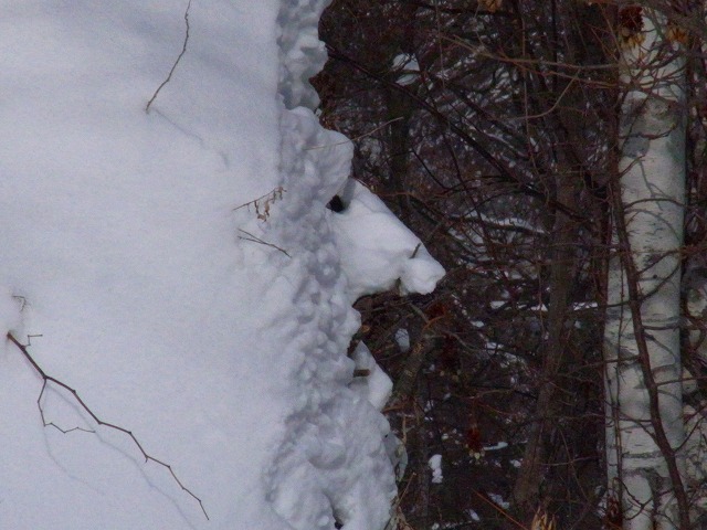 f0157901_1729105.jpg