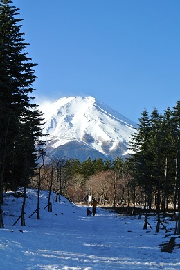 a0134004_22321742.jpg