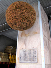 a0177205_2032682.jpg