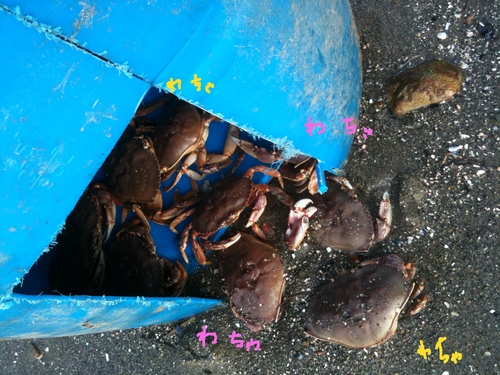 e0247410_9524217.jpg