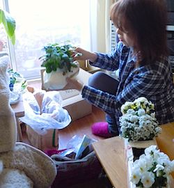 f0036716_22301828.jpg