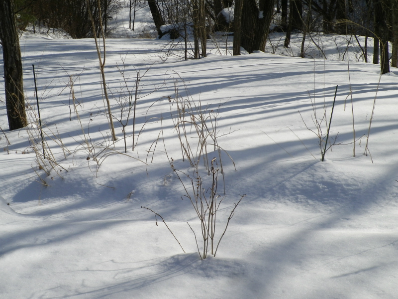 f0188324_183047100.jpg