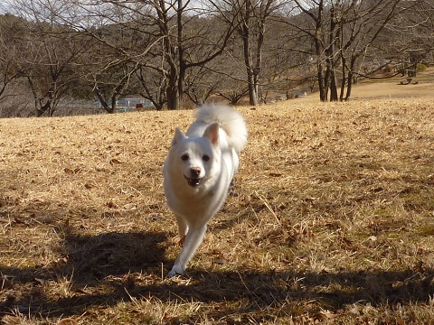 a0024829_14365899.jpg