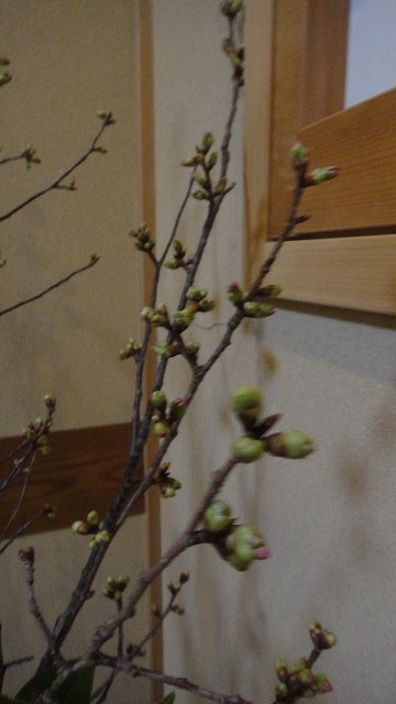 f0208737_818399.jpg