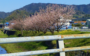 a0135840_10203369.jpg