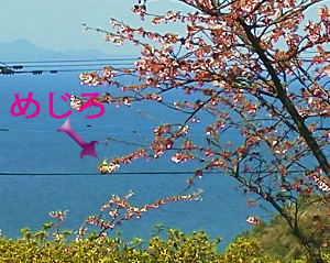 a0135840_10265728.jpg