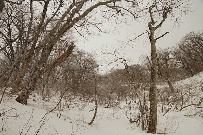 f0214649_5521711.jpg