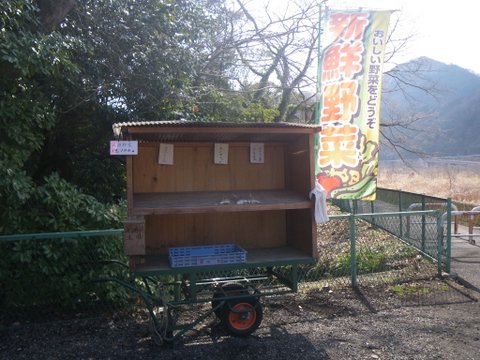 f0046250_13561137.jpg