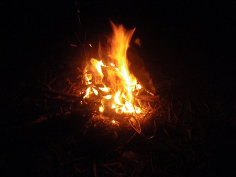 f0046250_14165937.jpg